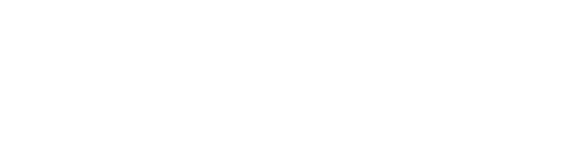 RackAID - Founder-led Technology Advisory